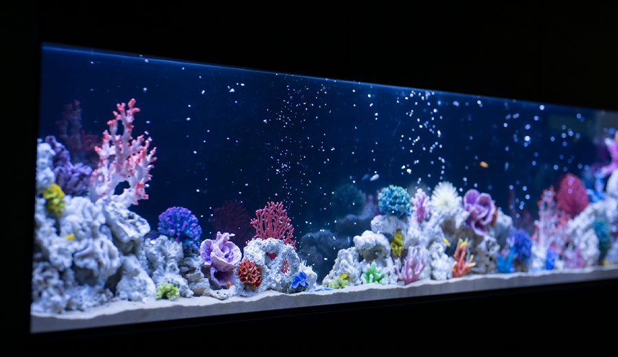 キッズスペース