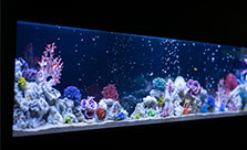 キッズスペース